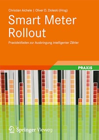 Smart Meter Rollout -  - E-Book