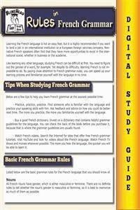 French Grammar ( Blokehead Easy Study Guide) - The Blokehead - E-Book