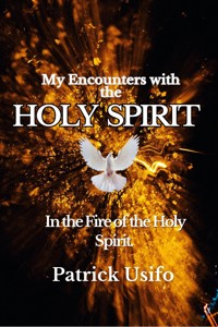 My Encounters  with the Holy Spirit - patrick Usifo - E-Book