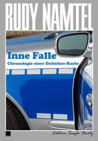 Inne Falle - Rudy Namtel - E-Book