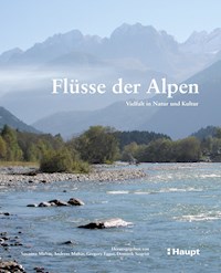 Flüsse der Alpen - Susanne Muhar - E-Book