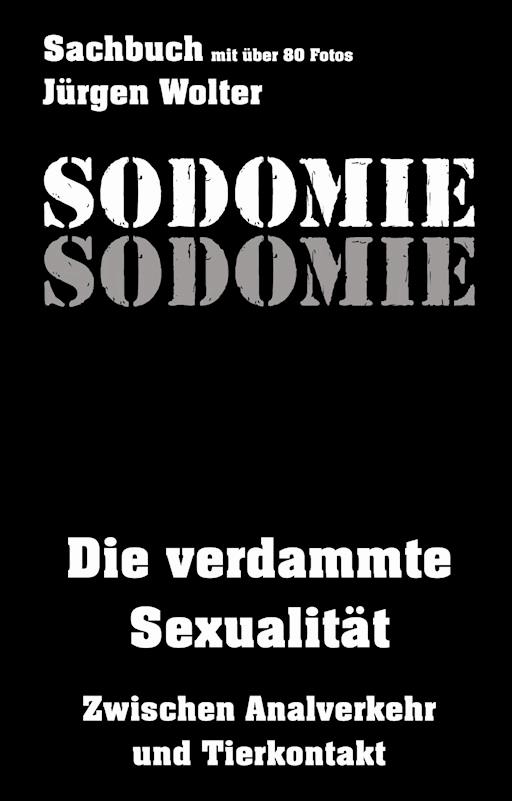 Sodomie Jurgen Wolter E Book Legimi Online