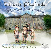 Die drei Pfadfinder - Dennis Beitzel - Hörbuch