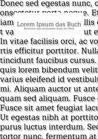 Lorem Ipsum das Buch - Maurice Leuchtenberg - E-Book