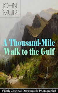 A Thousand-Mile Walk to the Gulf (With Original Drawings & Photographs) - John Muir - E-Book