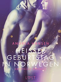 Heißer Geburtstag in Norwegen: Erotische Novelle - Andrea Hansen - E-Book