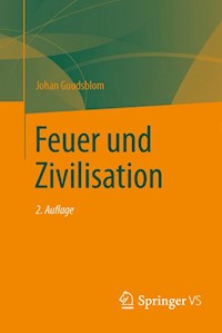 Feuer und Zivilisation - Johan Goudsblom - E-Book