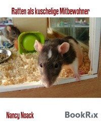 Ratten als kuschelige Mitbewohner - Nancy Noack - E-Book