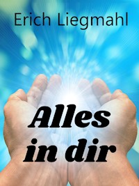 Alles in dir - Erich Liegmahl - E-Book
