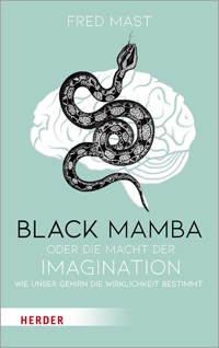 Black Mamba oder die Macht der Imagination - Fred Mast - E-Book