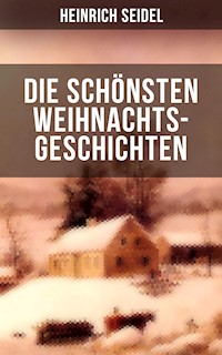 Die schönsten Weihnachtsgeschichten von Heinrich Seidel - Heinrich Seidel - E-Book