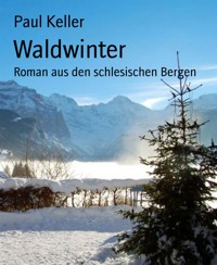 Waldwinter - Paul Keller - E-Book