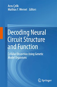 Decoding Neural Circuit Structure and Function -  - E-Book