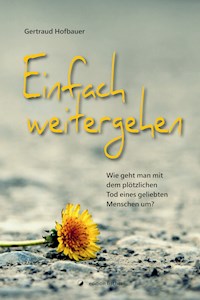 Einfach weitergehen - Gertraud Hofbauer - E-Book