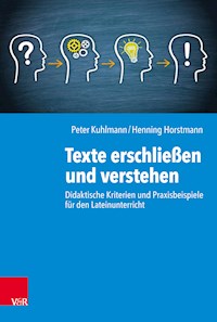 Texte erschließen und verstehen - Peter Kuhlmann - E-Book