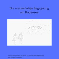 Die merkwürdige Begegnung am Bodensee - Mattis Lühmann - Hörbuch