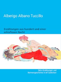Erzählungen aus hundert und einer schlaflosen Nacht - Alberigo Albano Tuccillo - E-Book