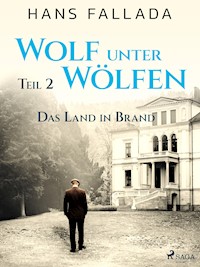Wolf unter Wölfen, Teil 2 – Das Land in Brand - Hans Fallada - E-Book