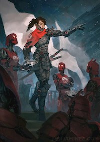 Widerstand ist zwecklos - Ronny Heine - E-Book