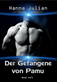 Der Gefangene von Pamu - Hanna Julian - E-Book