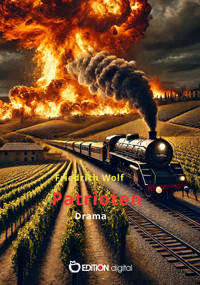 Patrioten - Wolf Friedrich - E-Book