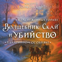 Волшебник Скай и убийство. Комплект из 2 книг - Андрей Волковский - Hörbuch