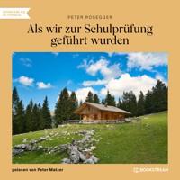 Als wir zur Schulprüfung geführt wurden - Peter Rosegger - Hörbuch