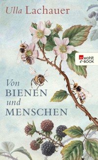 Von Bienen und Menschen - Ulla Lachauer - E-Book