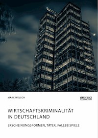 Wirtschaftskriminalität in Deutschland. Erscheinungsformen, Täter, Fallbeispiele - Marc Welsch - E-Book