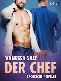 Der Chef - Erotische Novelle - Vanessa Salt - E-Book