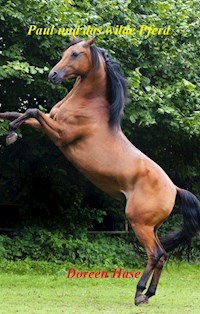 Paul und das wilde Pferd (Band 1) - Doreen Hase - E-Book