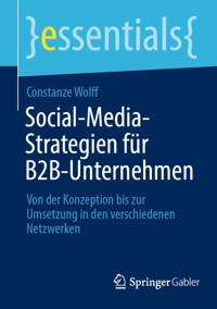 Social-Media-Strategien für B2B-Unternehmen - Constanze Wolff - E-Book