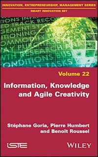 Information, Knowledge and Agile Creativity - Stephane Goria - E-Book
