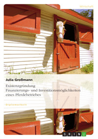 Existenzgründung. Finanzierungs- und Investitionsmöglichkeiten eines Pferdebetriebes - Julia Großmann - E-Book
