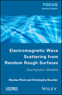 Electromagnetic Wave Scattering from Random Rough Surfaces - Nicolas Pinel - E-Book