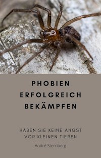 Phobien erfolgreich bekämpfen - Andre Sternberg - E-Book