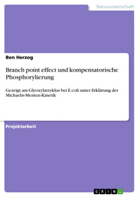 Branch point effect und kompensatorische Phosphorylierung - Ben Herzog - E-Book