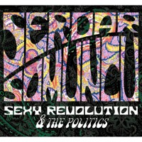 Serdar Somuncu, Sexy Revolution & The Politics - Serdar Somuncu - Hörbuch