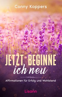 Jetzt beginne ich neu - Conny Koppers - E-Book
