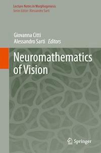 Neuromathematics of Vision -  - E-Book