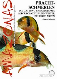 Prachtschmerlen - Jürgen Schmidt - E-Book
