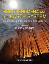 Fire Phenomena and the Earth System -  - E-Book