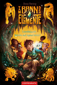 Im Bann der Elemente (Bd. 1) - Anna Herzog - E-Book