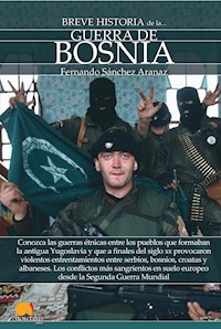 Breve historia de la guerra de Bosnia - Fernando Sánchez Aranaz - E-Book