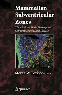 Mammalian Subventricular Zones -  - E-Book