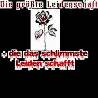 Die größte Leidenschaft - die das schlimmste Leiden schafft - Juliet Hikari - E-Book