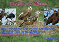 Das Jahr der Milane - Jochen Walz - E-Book
