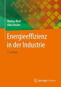 Energieeffizienz in der Industrie - Markus Blesl - E-Book