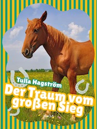 Der Traum vom großen Sieg - Torbjörg Hagström - E-Book