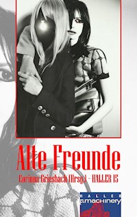 Haller 15 - Alte Freunde -  - E-Book